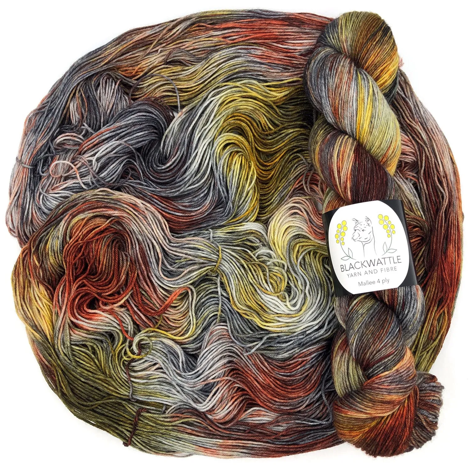 Mallee (Variegated Colours)